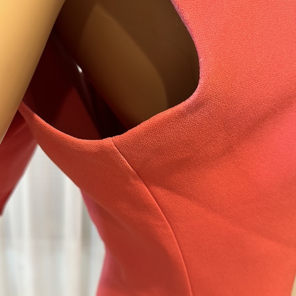 Safiyaa Carpianne Cape Dress - Picture 14 of 15